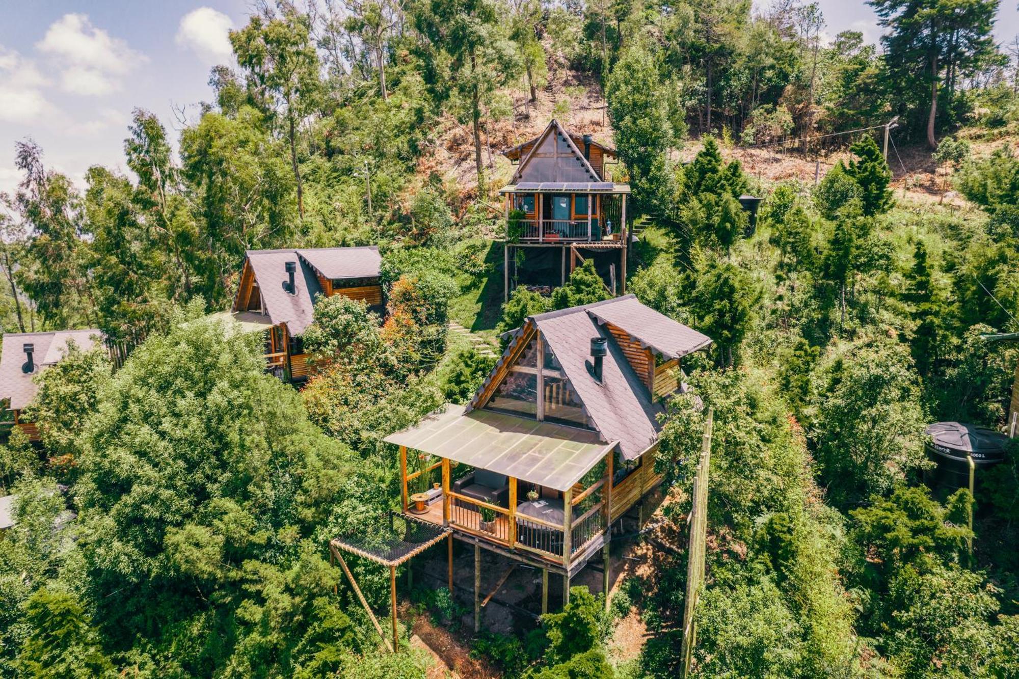 Skyline Ecoliving *